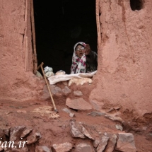 Picture 212-560e368490