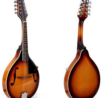 معرفی ساز ماندولین